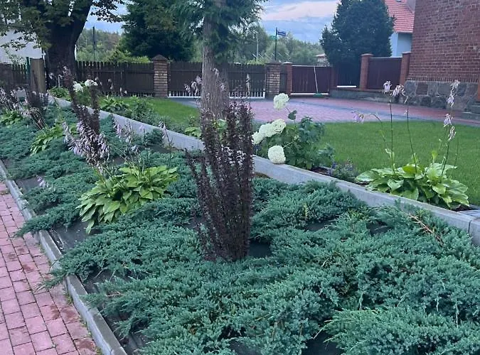 公寓 Mieszkanie - Dabrowa (Koscierzyna)